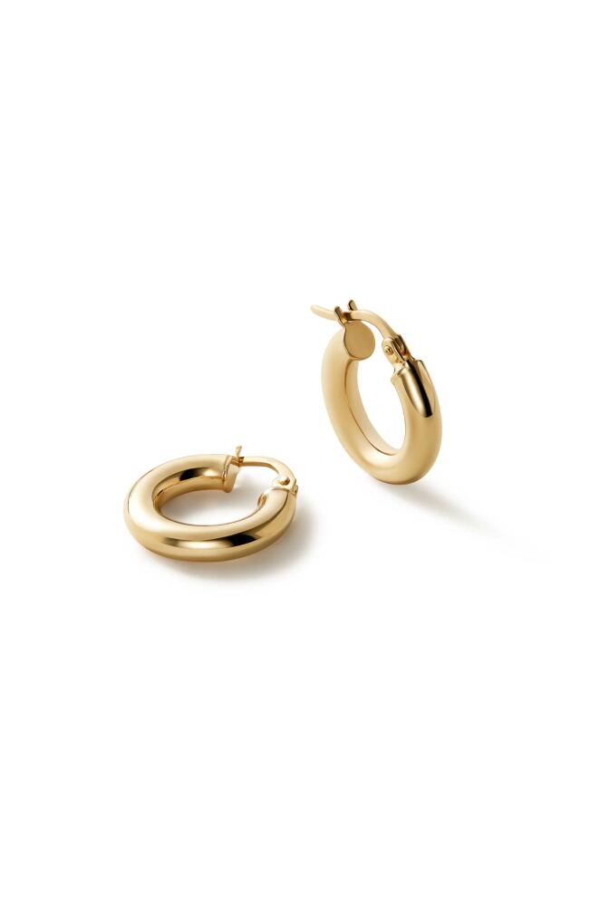 Ana Luisa Classic Hoop Earrings - Mini in Gold Cover