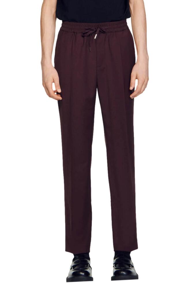 sandro New Alpha Straight Leg Wool Blend Pants in Black Brown Cover