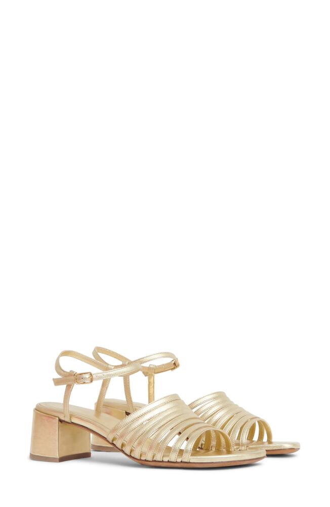 Mansur Gavriel Sun Ankle Strap Sandal in Gold Cover