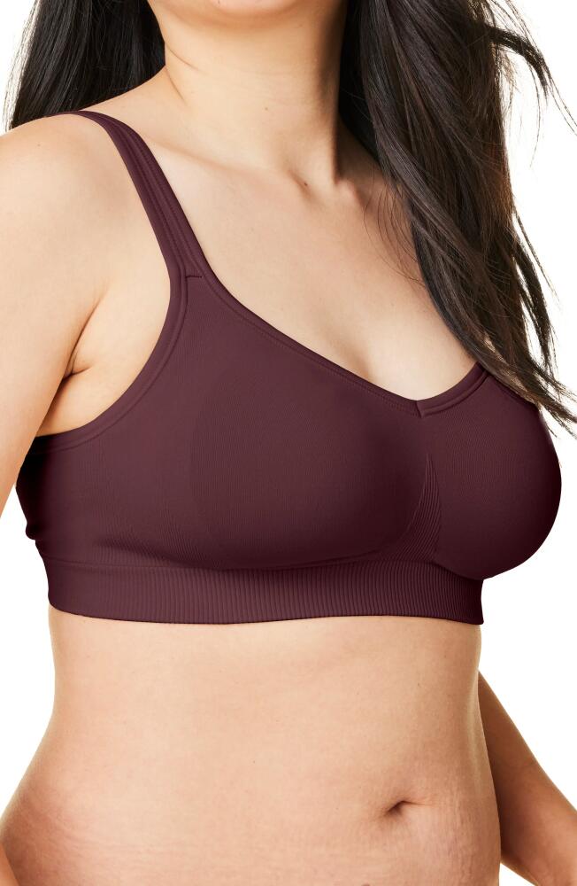 Bravado Designs Sculpt Wireless Everyday Bra in Cherry Cover