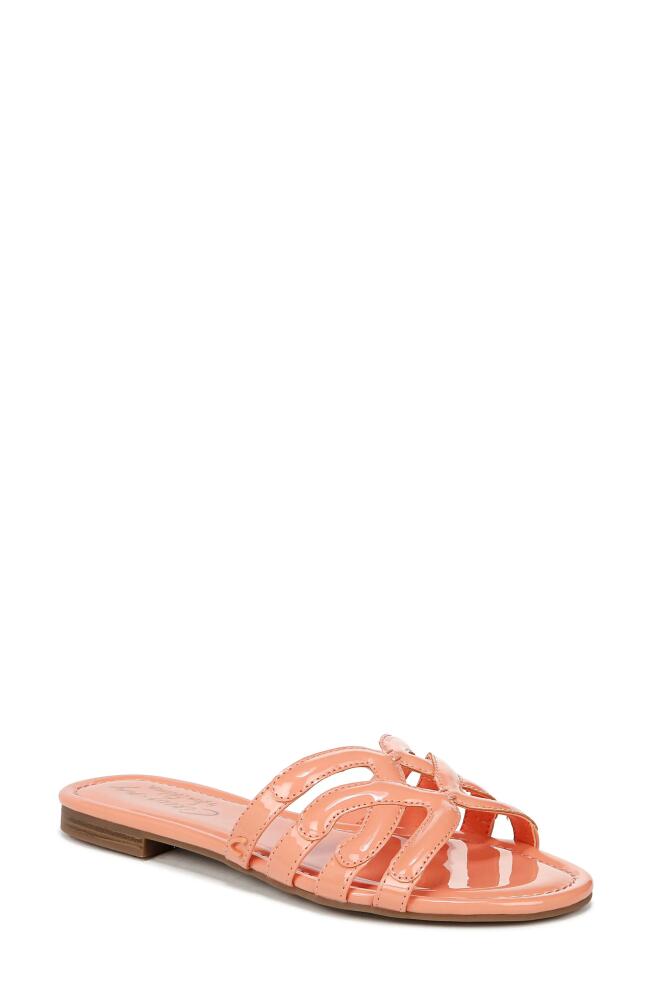 Circus NY by Sam Edelman Cat Slide Sandal in Tangerine Dream Cover