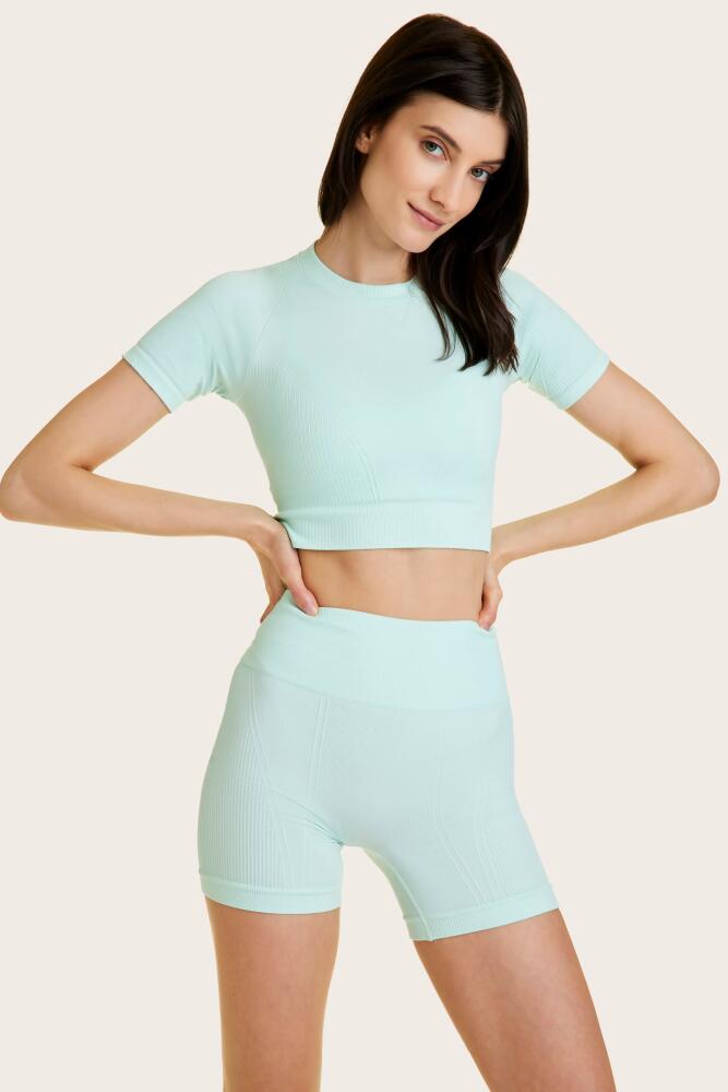 ALALA Barre Seamless Tee in Mint Cover