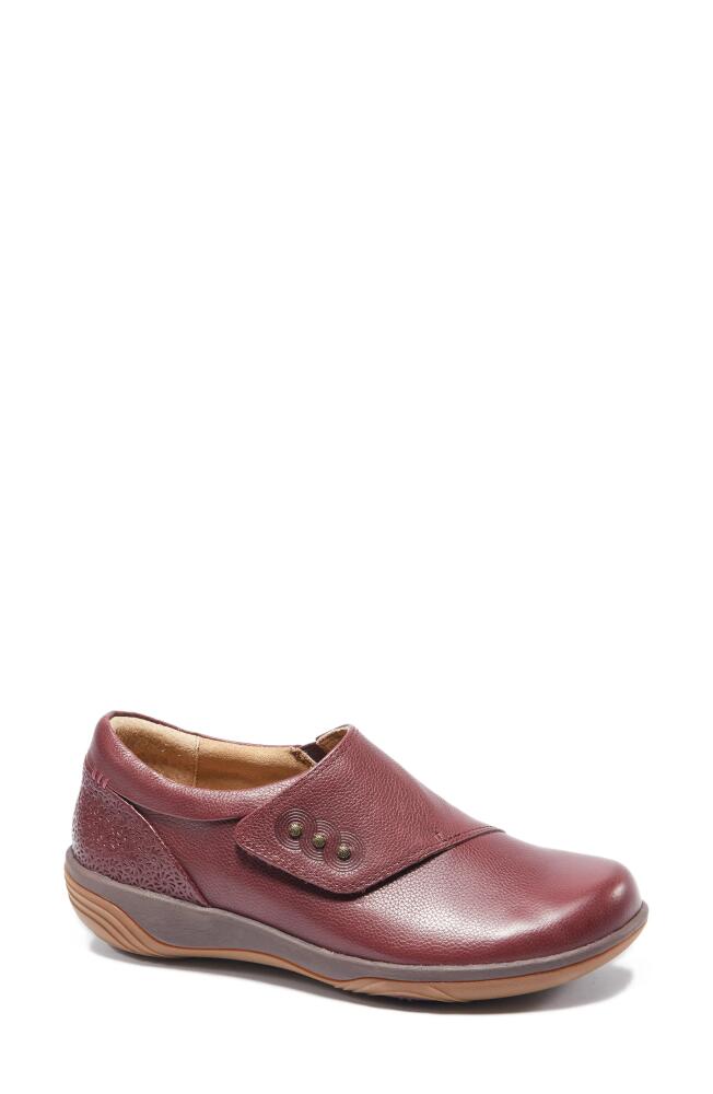 Hälsa Footwear Anna Clog in Dark Cherry Cover