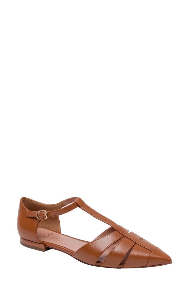 Linea Paolo Dessie Flat in Cognac Cover