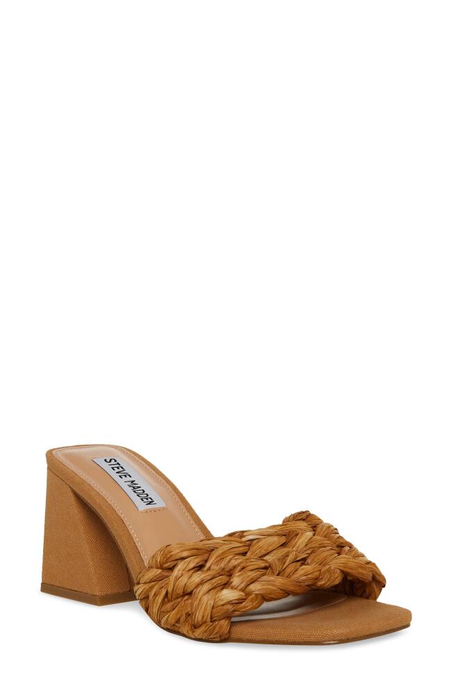 Steve Madden Mylee Raffia Slide Sandal in Nat Raffia Cover