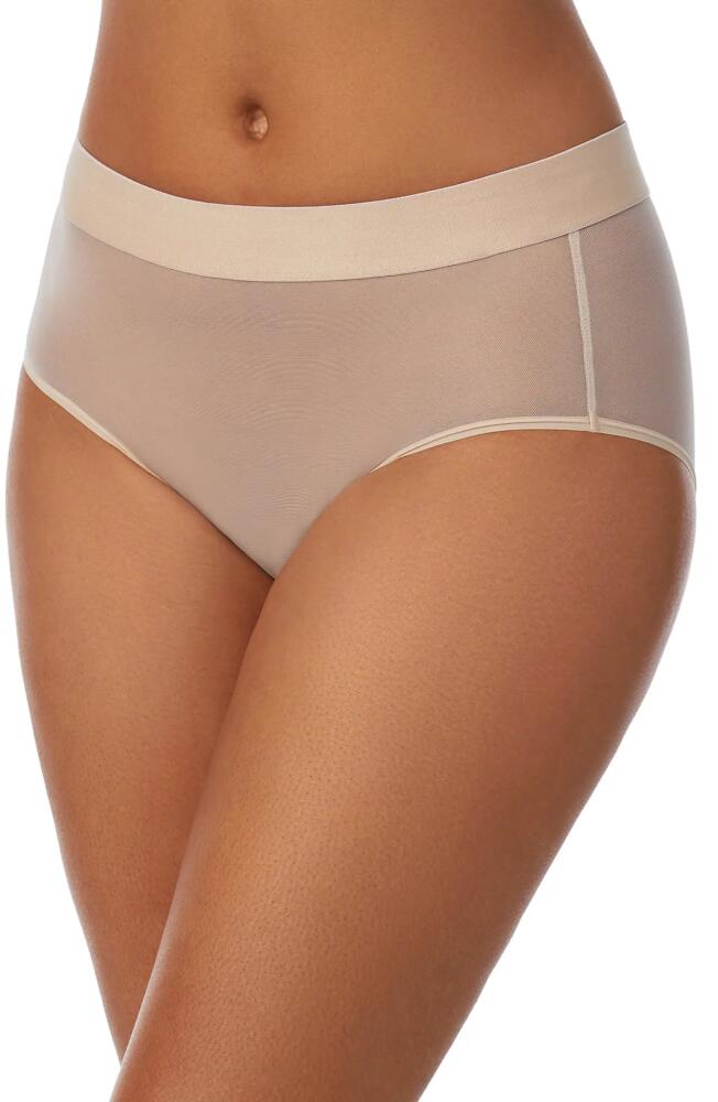 DKNY Sheer Mesh Briefs in Cashmere Cover