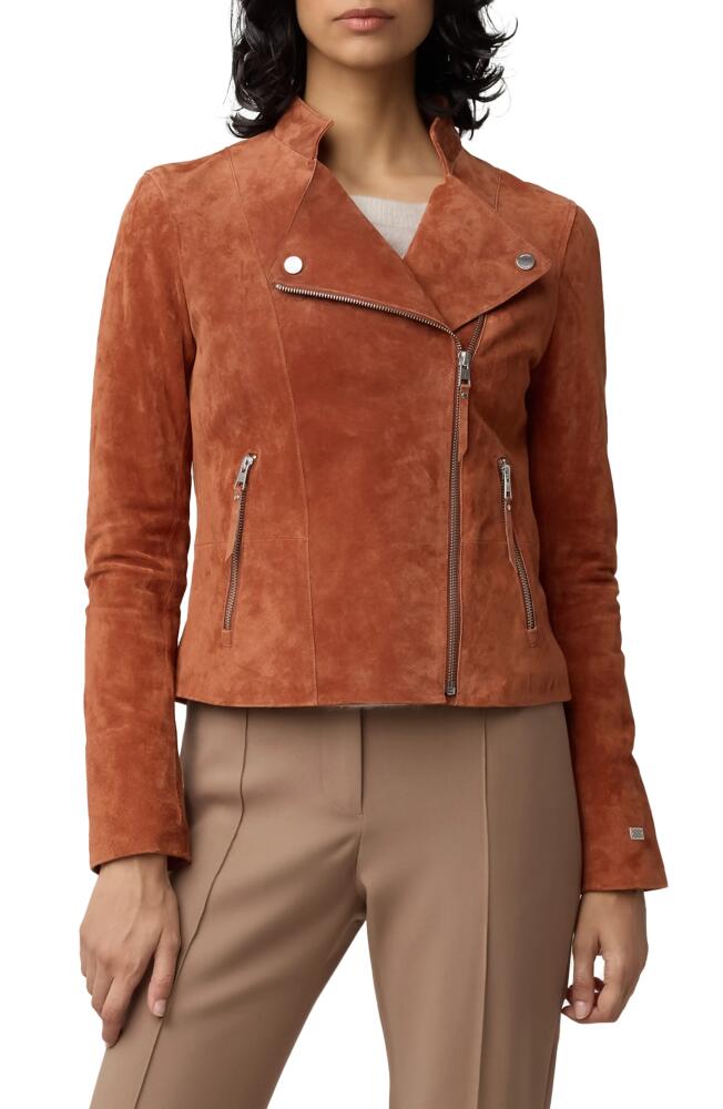 Soia & Kyo Saskia Suede Moto Jacket in Copper Cover