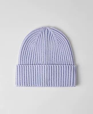 Ann Taylor Weekend Winter Beanie Cover