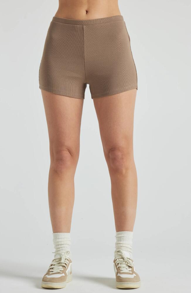 Losano Serene Rib Shorts in Pine Bark Cover