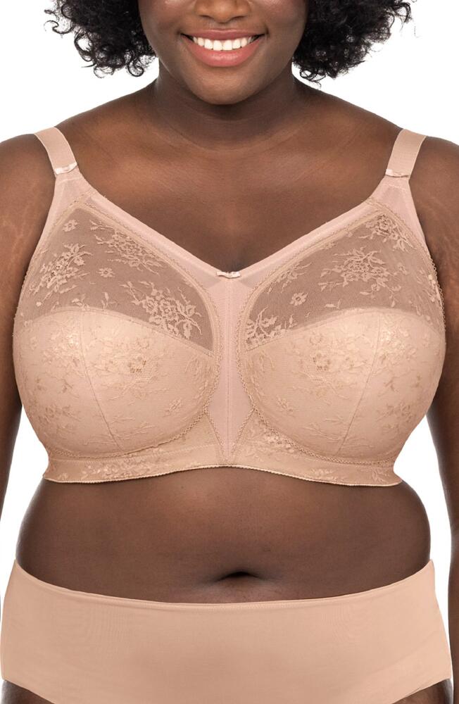 Goddess Verity Wireless Full Figure Bra in Fawn Cover