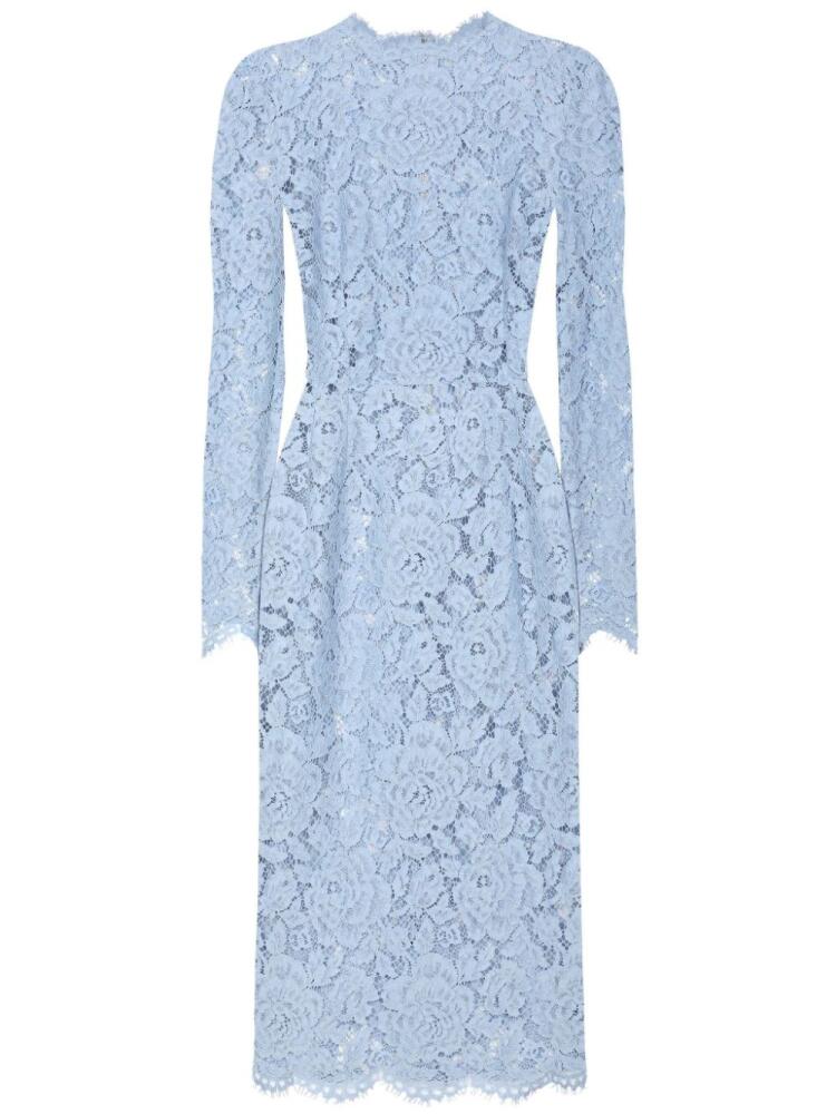 Dolce & Gabbana floral-lace bodycon midi dress - Blue Cover