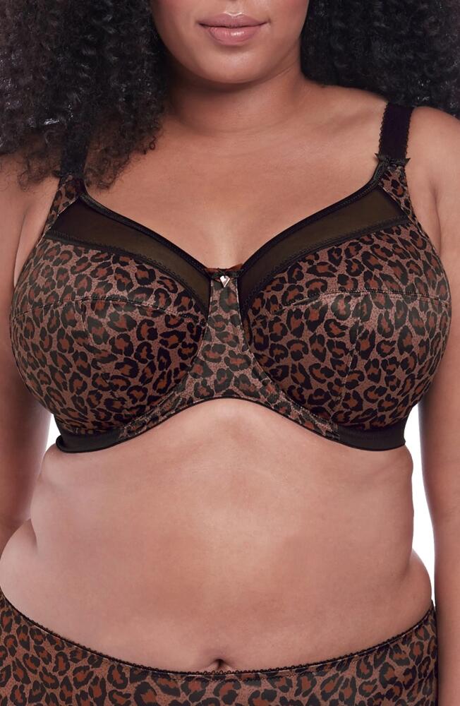 Goddess Kayla Full Figure Underwire Bra in Dark Leopard Cover