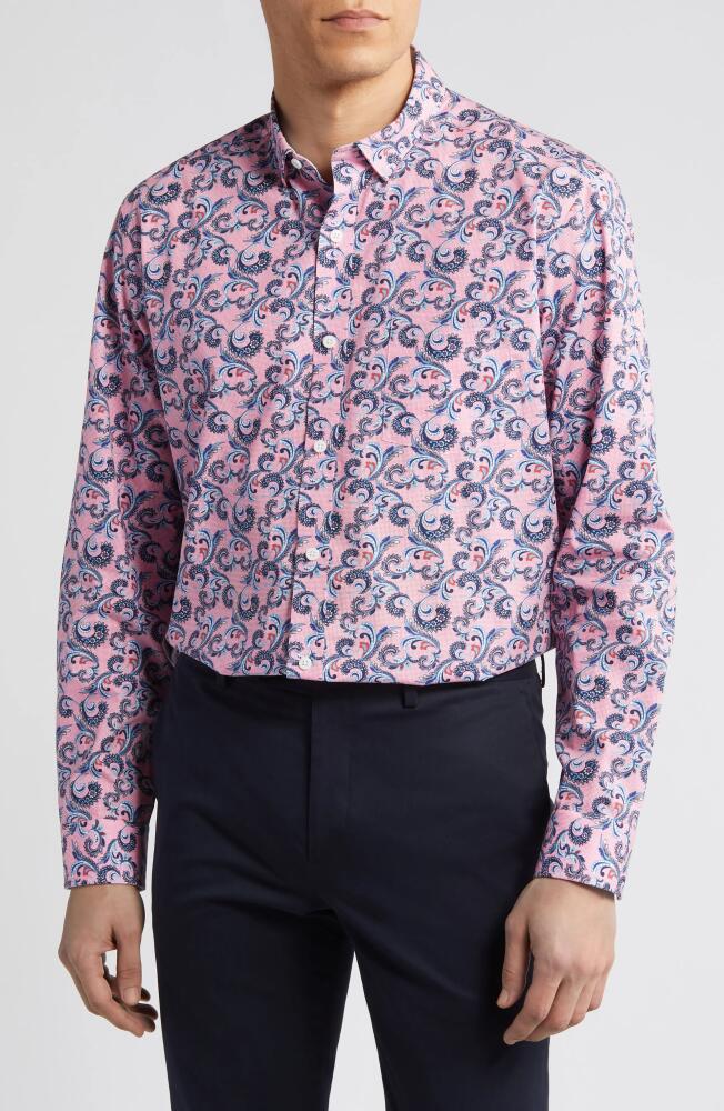 Johnston & Murphy Paisley Print Cotton Button-Up Shirt in Pink Cover