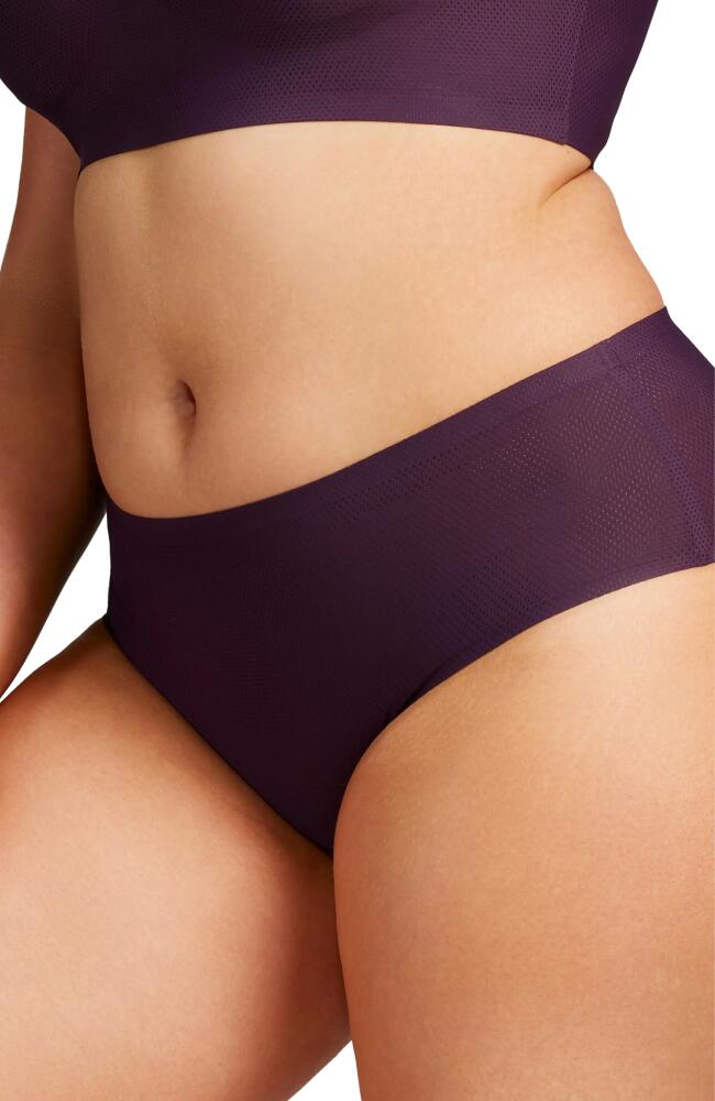 Siella Breathable Hipster Pantie in Charmed Wine Cover