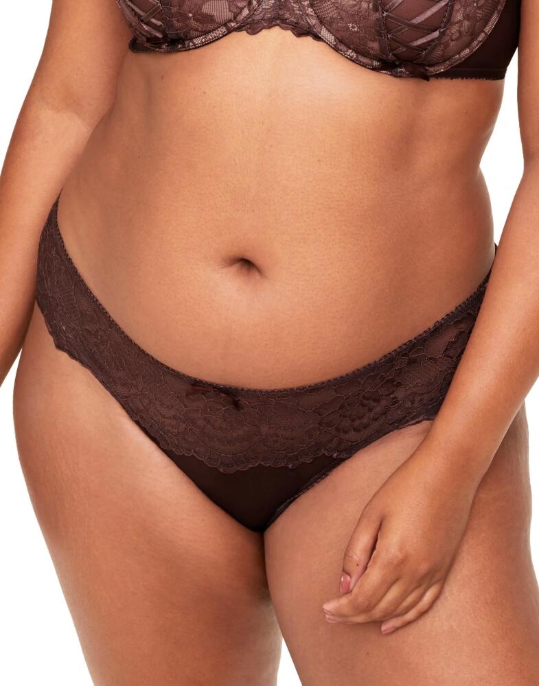 Adore Me Enny Bikini Panties in Dark Brown Cover