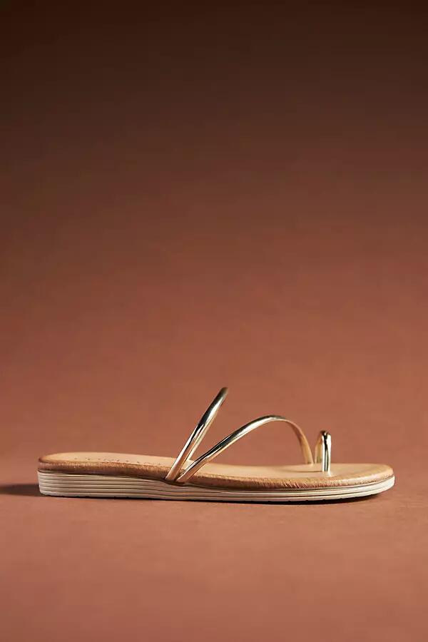 Cordani Floria Sandals Cover