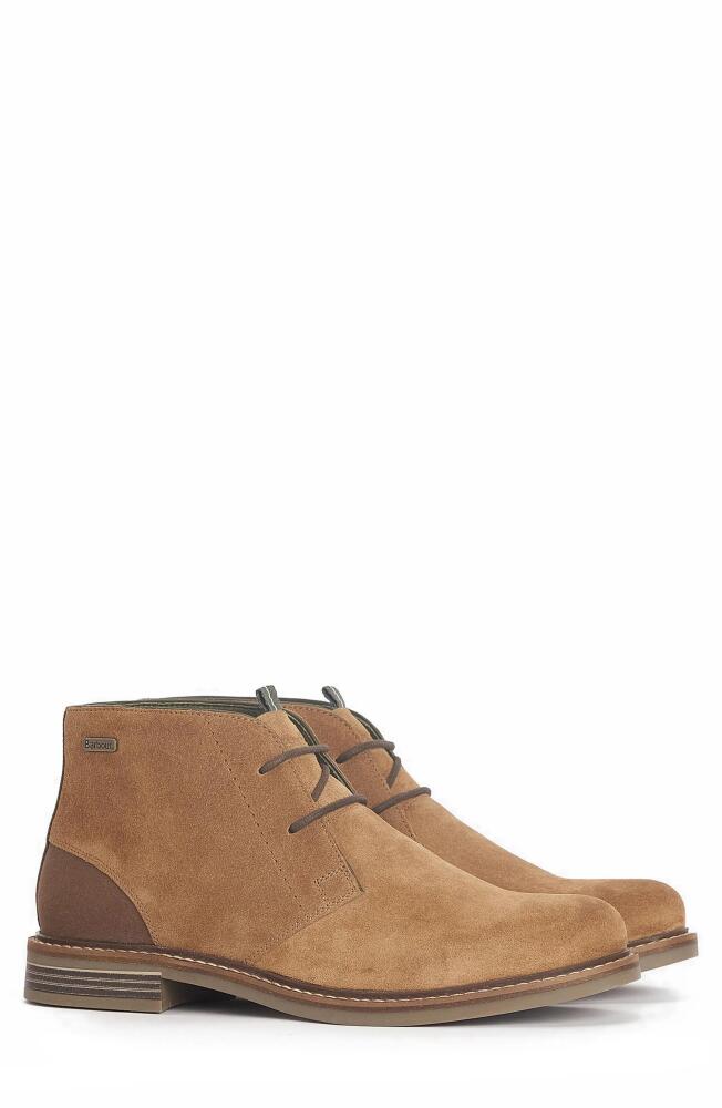 Barbour Readhead Chukka Boot in Fawn Suede Cover