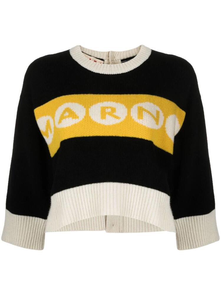 Marni logo-intarsia cropped jumper - Black Cover