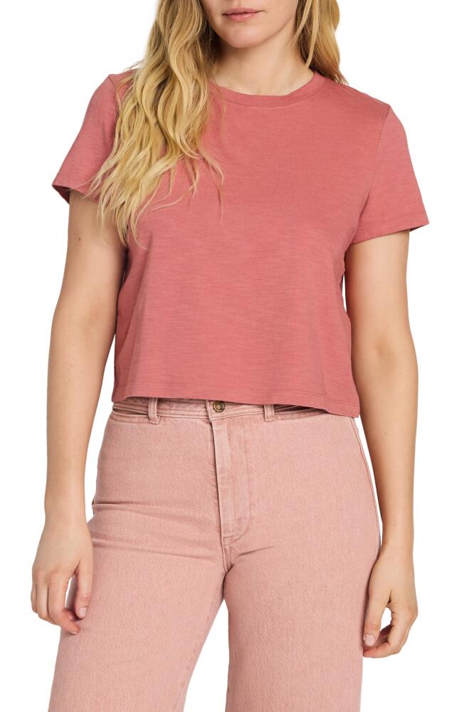 Faherty Sunwashed Organic Cotton Crop T-Shirt in Kelly Pink Cover