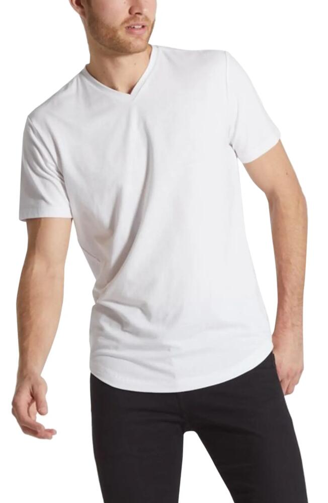 Cuts AO V-Neck Curved Hem Tee in White Cover