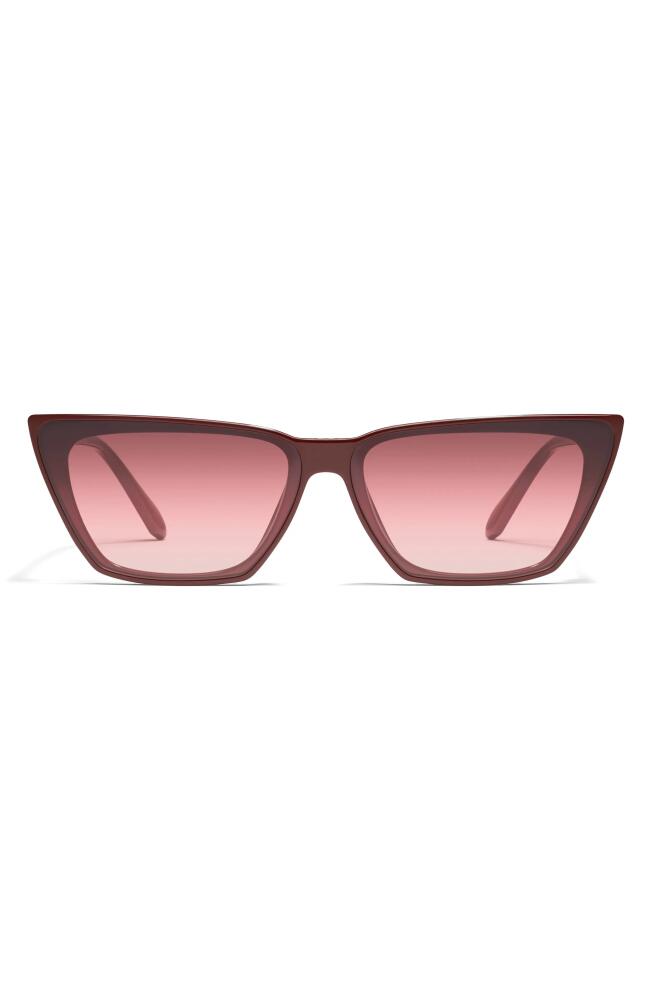 Quay Australia Bad Habit 65mm Oversize Cat Eye Sunglasses in Oxblood /Smoke Cover