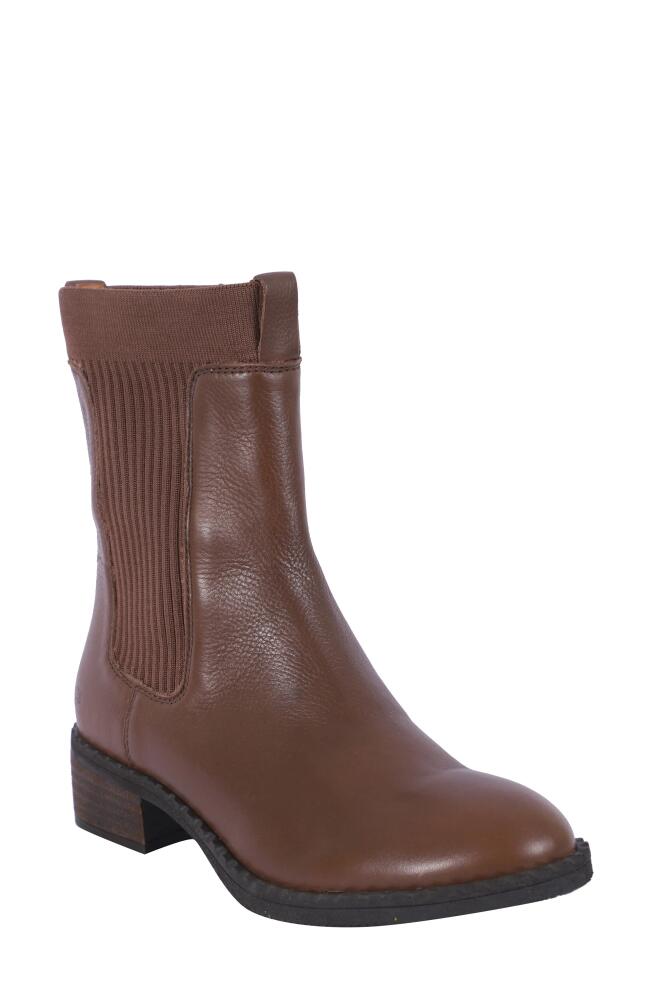 GENTLE SOULS BY KENNETH COLE Bernadette Chelsea Boot in Chocolate Leather Cover