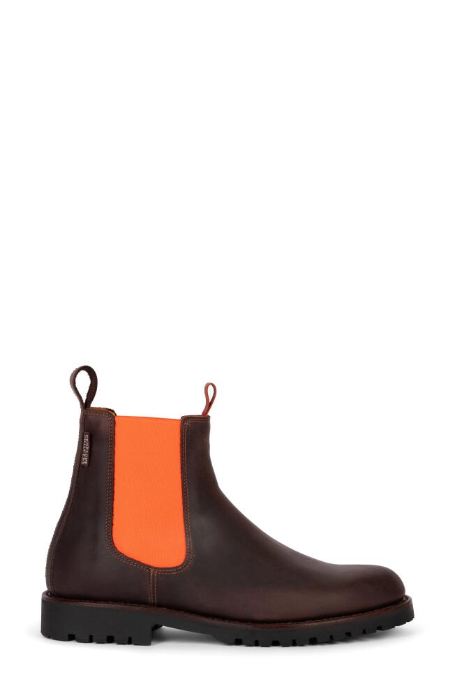 Penelope Chilvers Nelson Chelsea Boot in 932 Conker/Neon Orange Cover