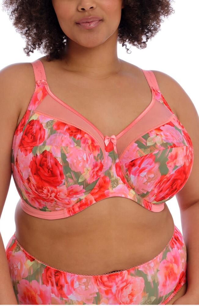 Goddess Kayla Full Figure Underwire Bra in Rose Garden Cover