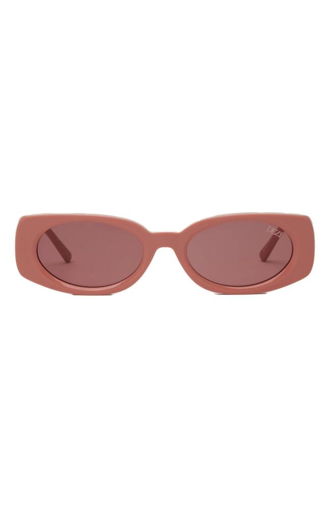 DEZI Booked 52mm Rectangular Sunglasses in Guava /Berry Cover