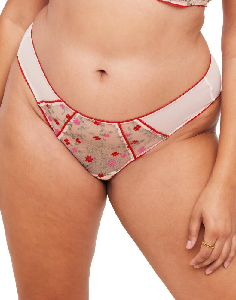 Adore Me Rosa Bikini Panties in Floral Red Cover