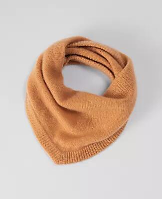 Ann Taylor Weekend Mini Cashmere Scarf Cover