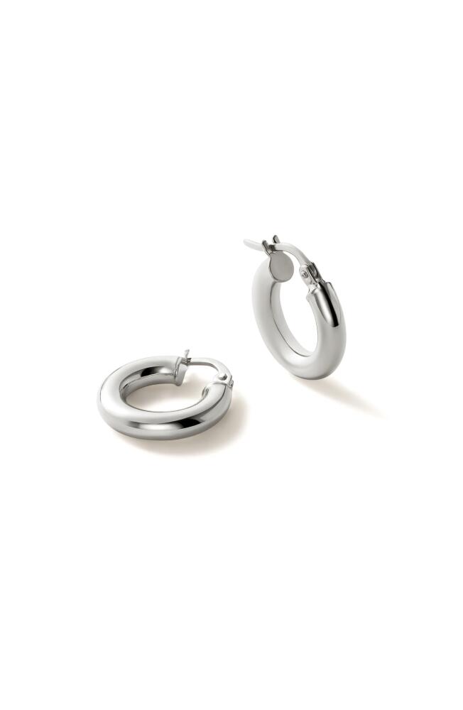 Ana Luisa Classic Hoop Earrings - Mini in White Gold Cover