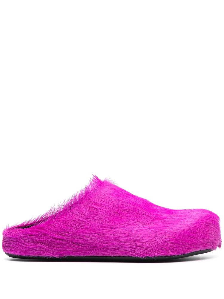 Marni Fussbet Sabot calf-hair slippers - Purple Cover