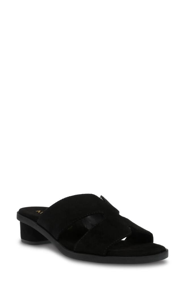 Anne Klein Timmy Slide Sandal in Black Cover