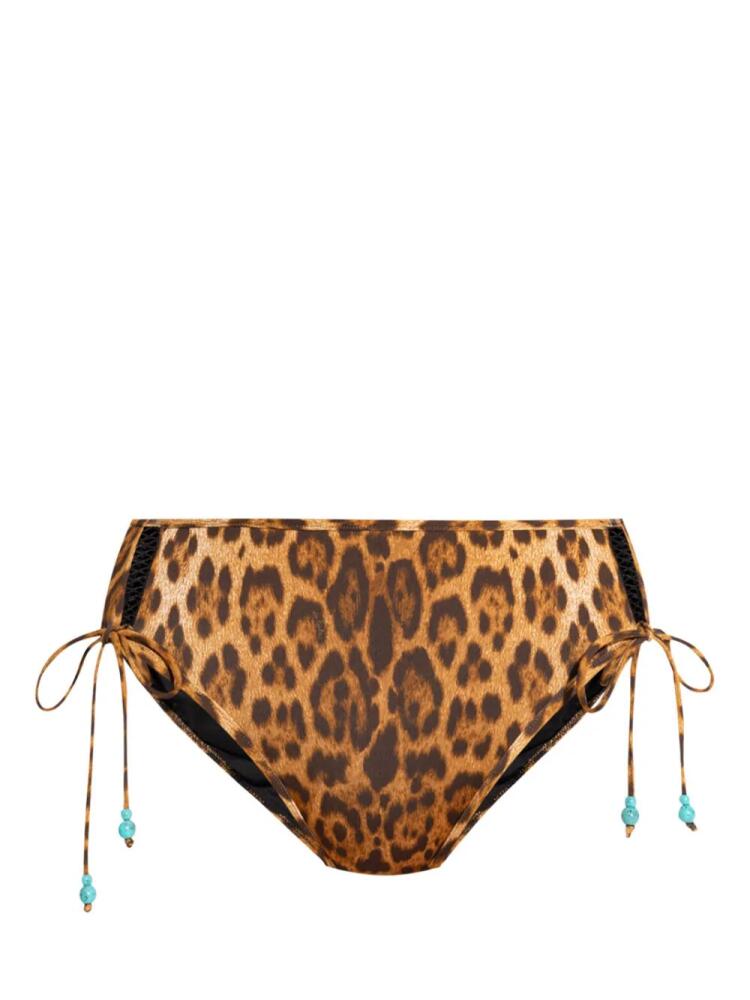 La Perla leopard-print side-tie bikini bottoms - Brown Cover