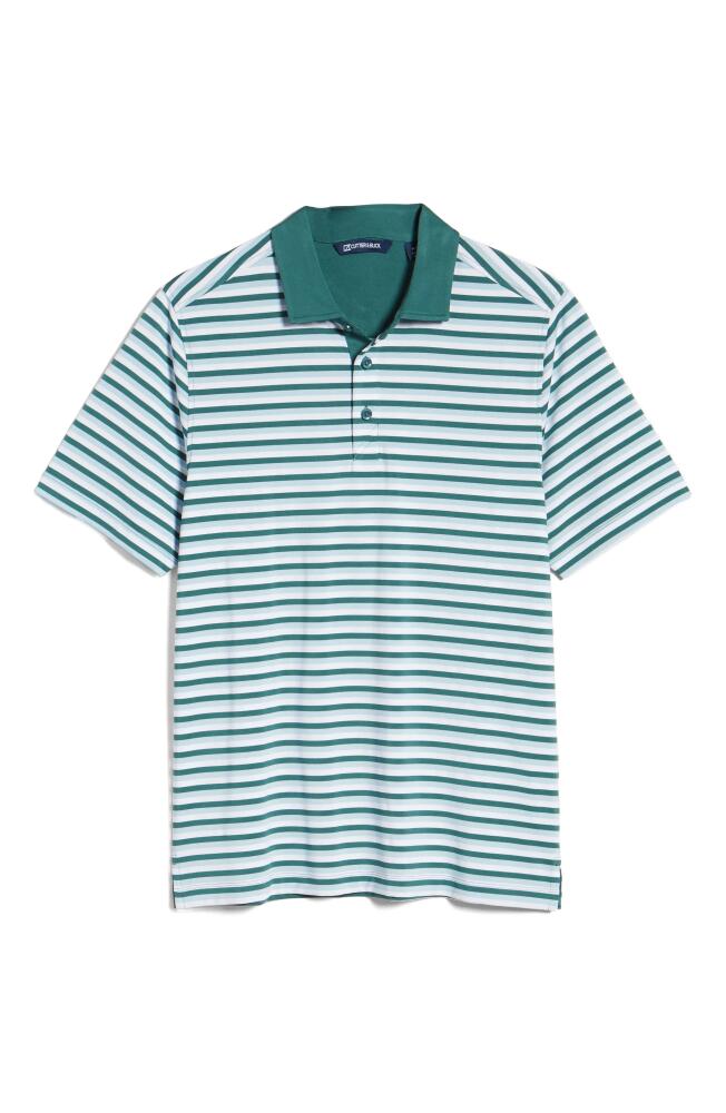 Cutter & Buck Forge DryTec Stripe Performance Polo in Seaweed Cover