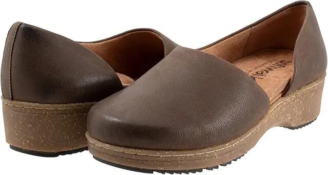 SoftWalk Addie (Dark Brown Nubuck) Women's Shoes Cover