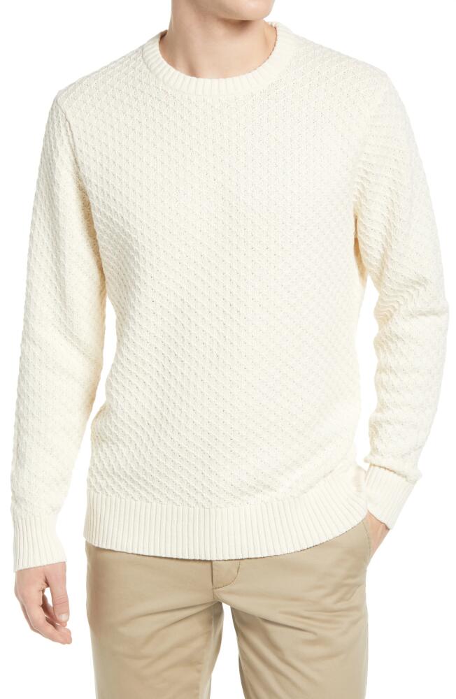 The Normal Brand Cotton Piqué Sweater in Ivory Cover