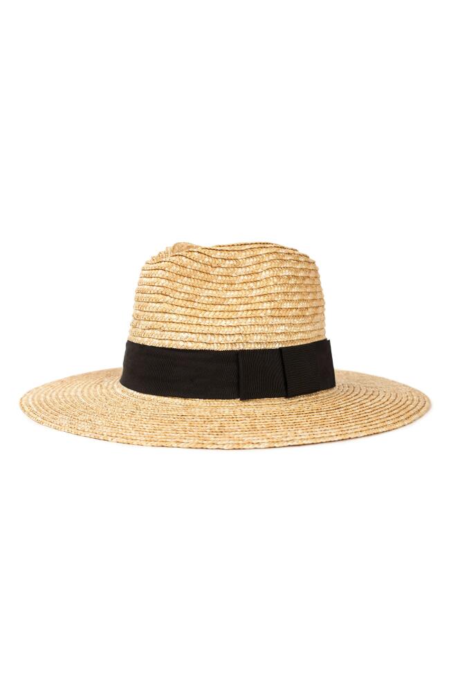 Brixton Joanna Straw Hat in Honey/black Cover