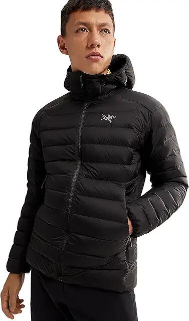 Arc'teryx Cerium Hoody (Black) Men's Clothing Cover