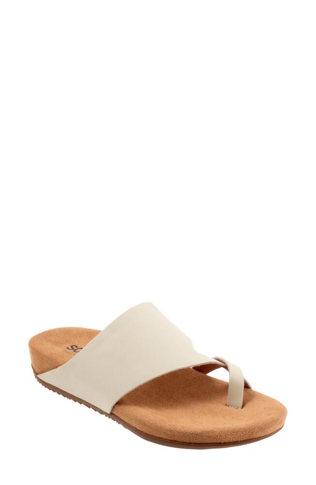 SoftWalk Blaine Slide Sandal in Ivory Cover