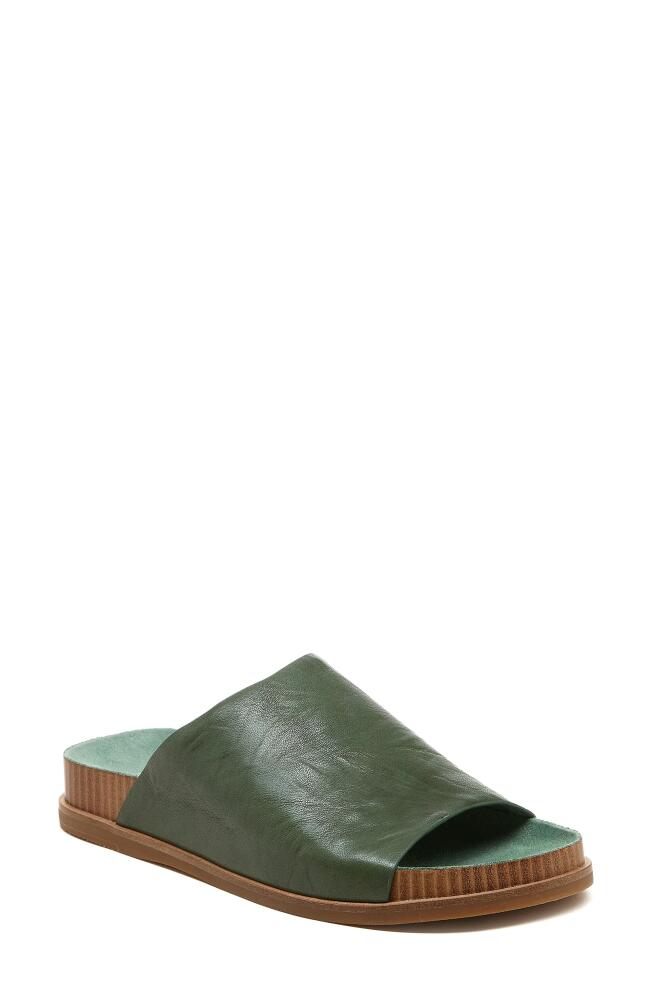 Kelsi Dagger Brooklyn Squish Slide Sandal in Moss Cover