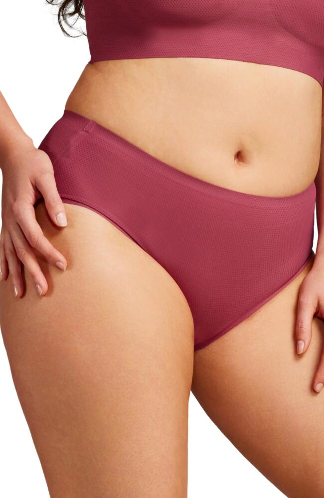 Siella Breathable Hipster Pantie in Enchanted Pink Cover