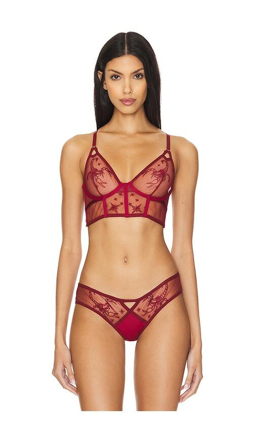 Thistle and Spire Scorpio Bra in Red Cover