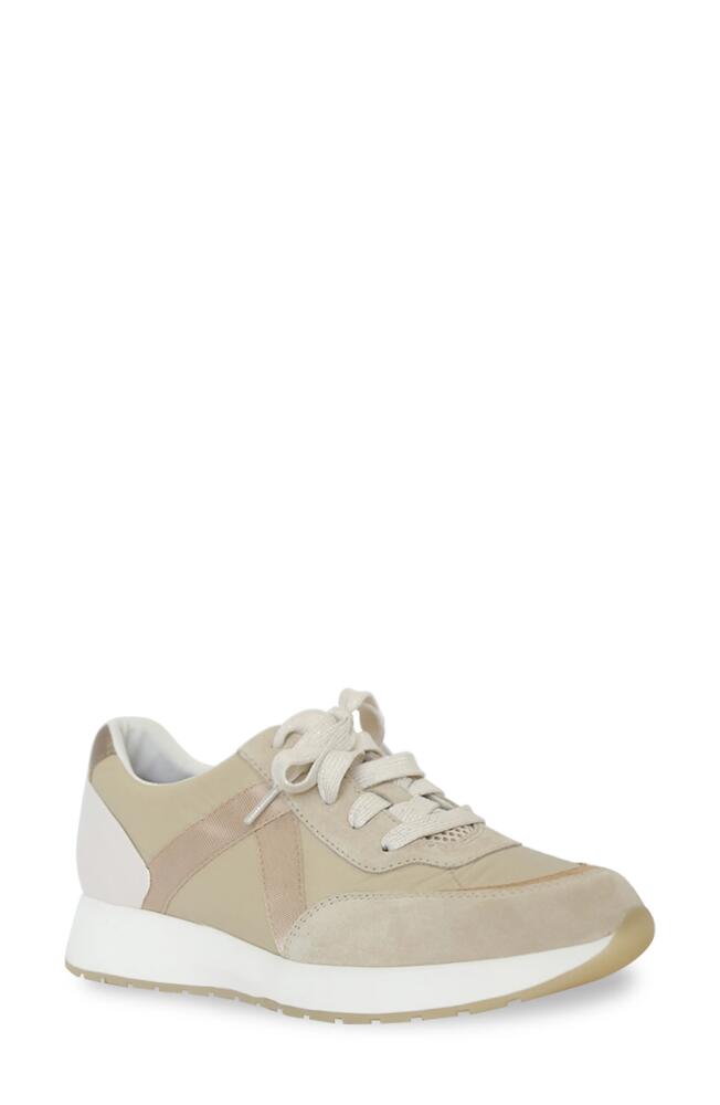 Munro Piper Sneaker in Khaki/Gold Suede Cover