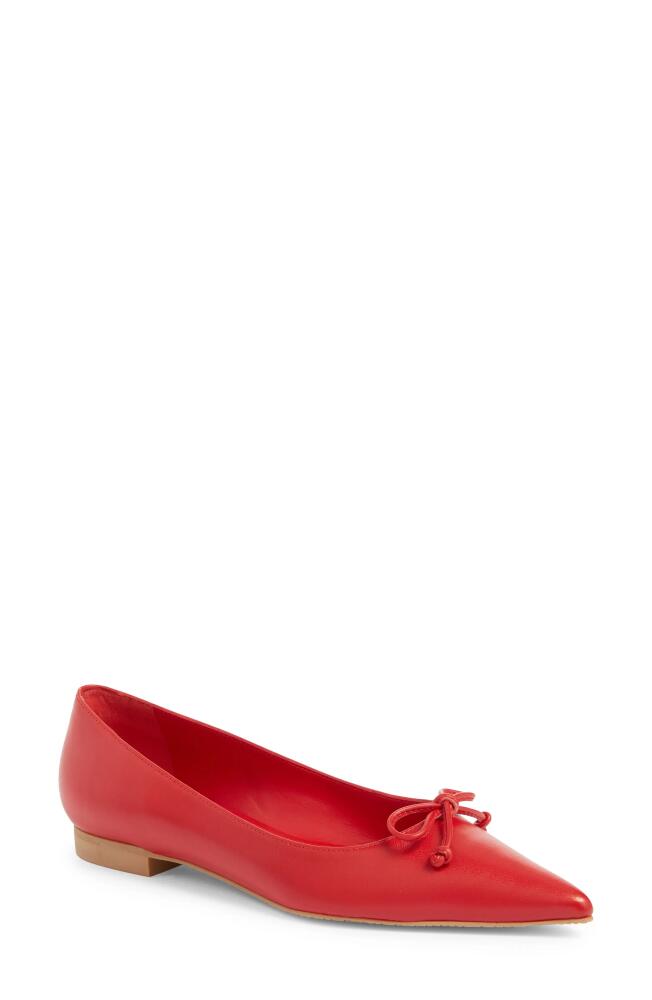 Stuart Weitzman Landon Pointed Toe Ballet Flat in Cherry Cover