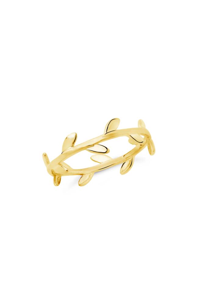 Sterling Forever Liana Leaf Band Ring in Gold Cover