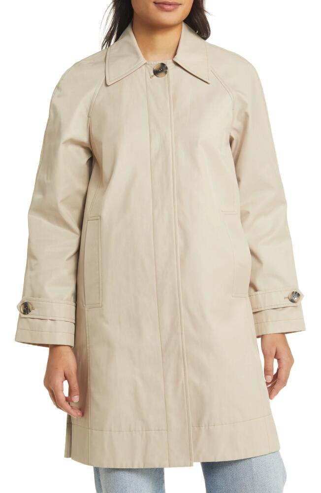 Sam Edelman Mac Single Breasted Coat in Birch Cover