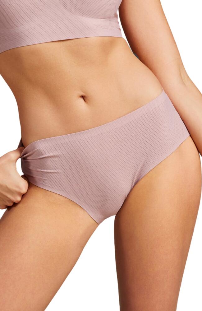 Siella Breathable Hipster Pantie in Pink Bliss Cover