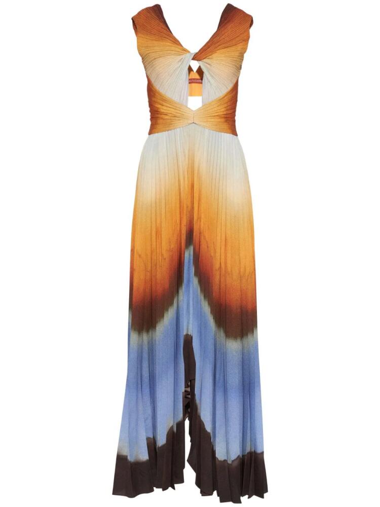 Altuzarra Kalymnos Shibori-print maxi dress - Neutrals Cover